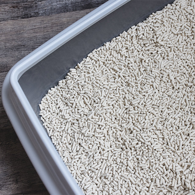 Why Choose Tofu Cat Litter? Furbulouspet.eu